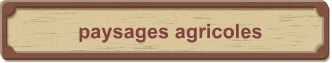 paysages agricoles